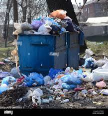Same-Day Junk Removal Services in Cactus, TX