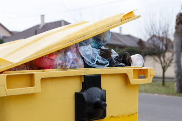 Best Property Management Cleanouts  in Cactus, TX